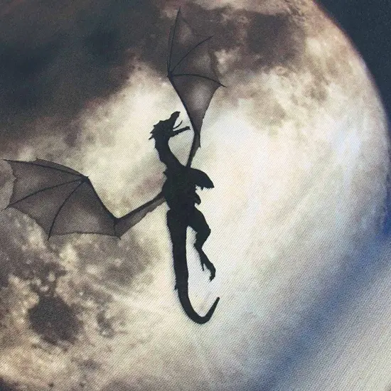 Julie Fain `Dragon Moon` Neoprene Tablet Sleeve {5}