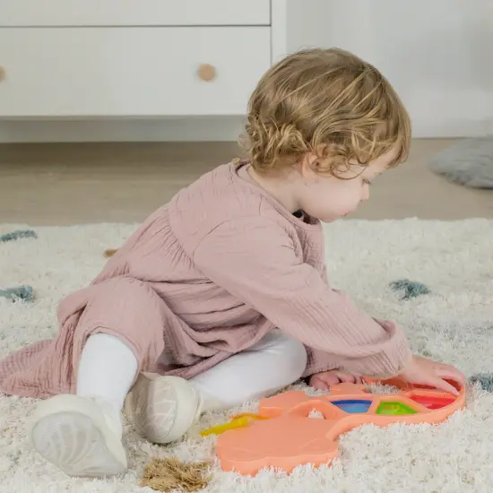 Feel to Learn: Translucent Colorful Lizard {3}