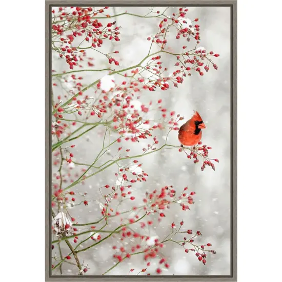 Red Cardinal and Red Berries by Carrie Ann Grippo-pike Canvas Art Framed {1}