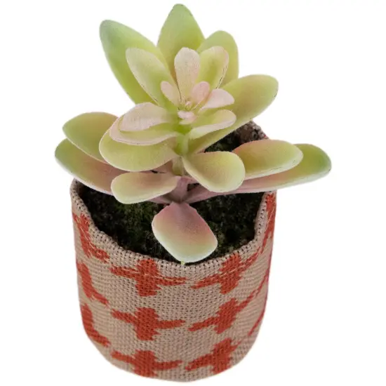Northlight Artificial Pastel Succulent in Burlap Bag - 4.75" Multi {7}