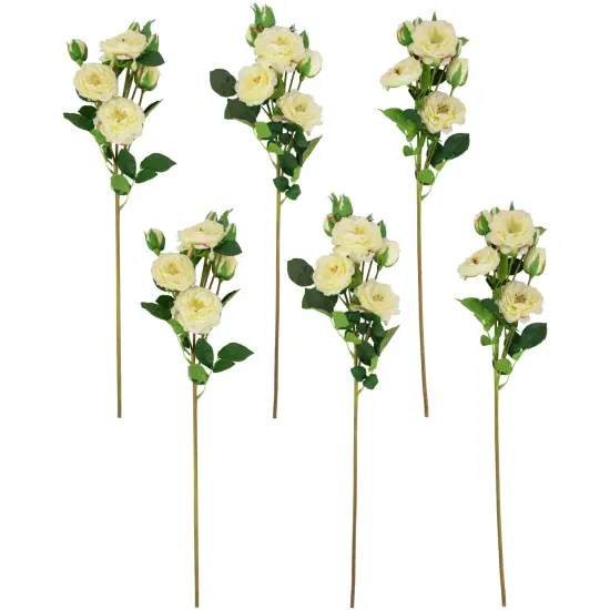 Northlight Real Touch&trade; White Artificial Camellia Rose Floral Sprays, Set of 6 - 23" {1}