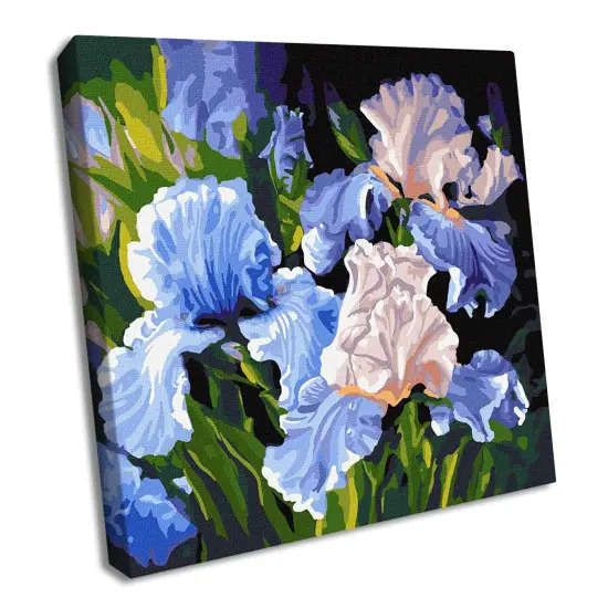 Painting by Numbers kit Bright irises KHO3190 {1}