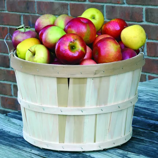 Lehman's Handcrafted Half Bushel Baskets, Vintage Style USA Made Poplar Wood with Wire Handles, 9.5 x 14.75 inches, Set of 2 {4}