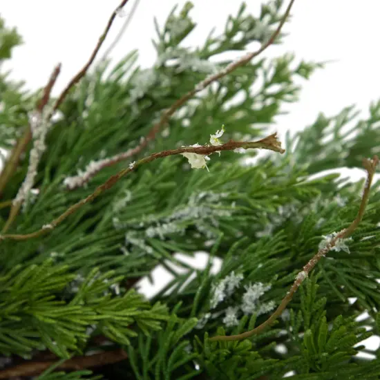 Northlight Real Touch&trade;️ Iced Cedar Artificial Christmas Wreath- 24" - Unlit Green {7}