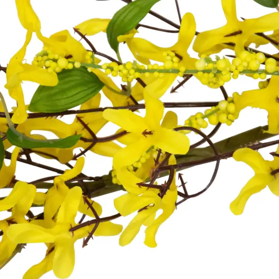 Northlight Forsythia and Berry Floral Spring Garland - 5' - Yellow {6}