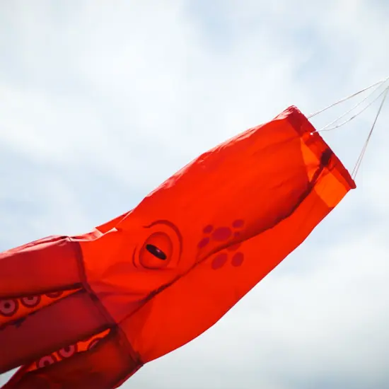 In the Breeze 5206 — 40-inch Octopus 3D Windsock — Realistic Sea Life Windsock for Homes, Gardens, Classrooms with Free Flowing Tentacles {2}