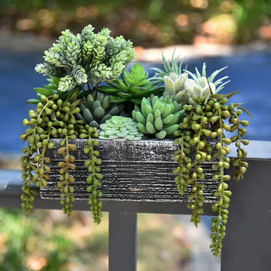 12 Pack Bulk Large Assorted Realistic Artificial Faux Succulents Aloe Plants Realistic Fake Succulent Plants, Largest Set of Succulents {2}