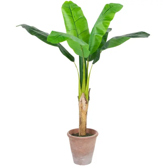 Northlight 4' Artificial Tropical Banana Tree in a Clay Pot Green {1}