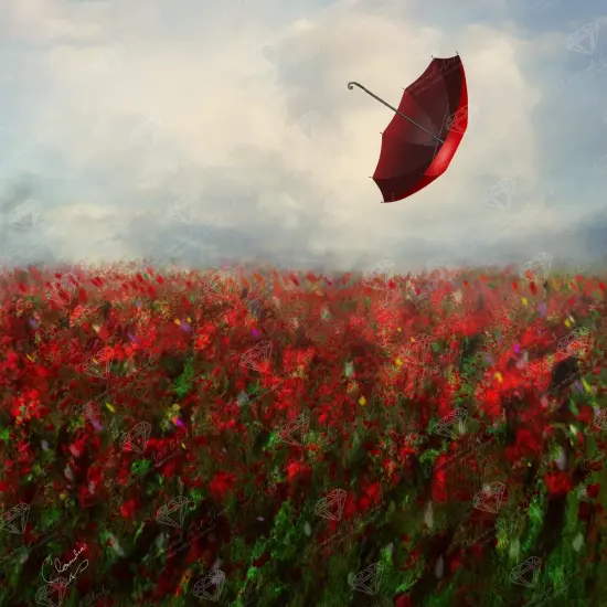 Not A Care In The World {1}