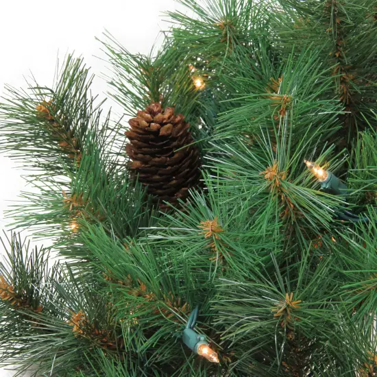 Northlight Pre-Lit Royal Oregon Pine Artificial Christmas Wreath, 24-Inch, Clear Lights Green {3}