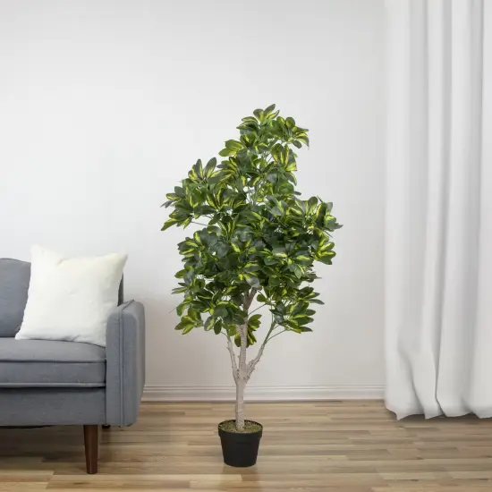 Northlight 51" Green and Black Potted Two Tone Schefflera Artificial Plant {3}