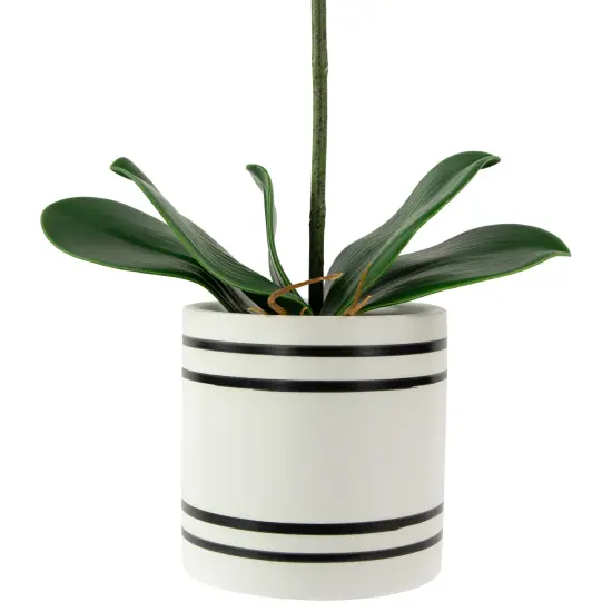 Northlight Real Touch&trade; Artificial Spring Orchids in a Striped Ceramic Pot - 2' - Pink {6}
