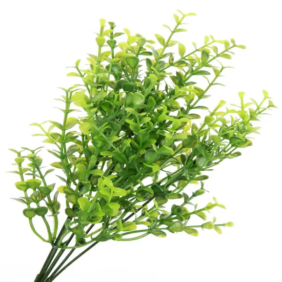 CousinDIY Herb Pick Assortment {5}