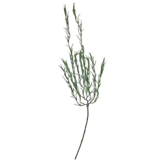 Allstate Frosted Willow Succulent Artificial Christmas Spray - 33" - Green {1}