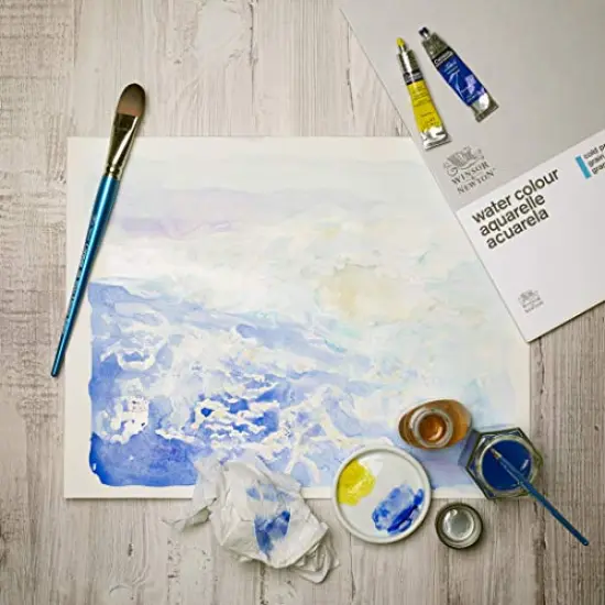 Cotman Watercolor Paint, 8ml (0.27-oz) Tube, Payne's Gray {2}