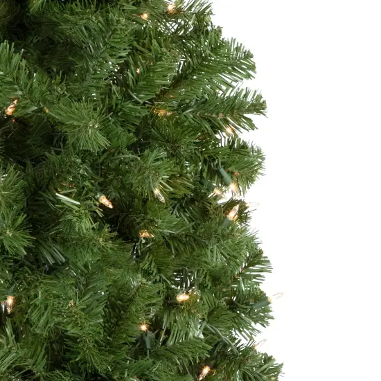 Northlight 7.5' Pre-Lit Hazelton Spruce Pencil Artificial Christmas Tree, Clear Lights Green {4}
