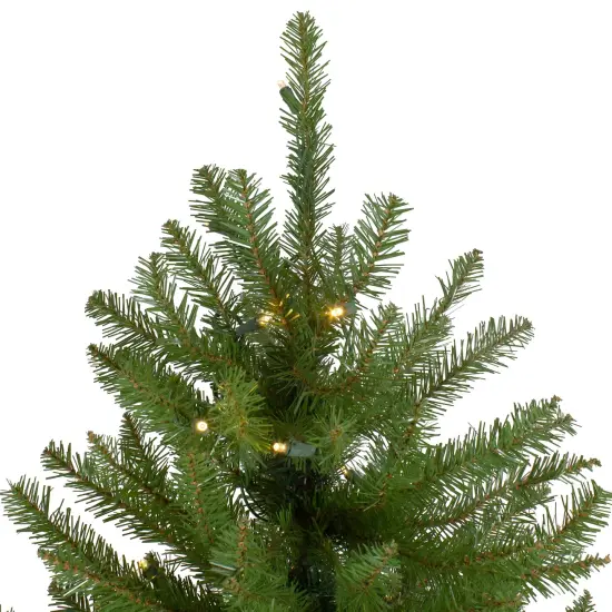 Northlight 6.5' Pre-Lit Full Northern Pine Artificial Christmas Tree - Warm Clear LED Lights Green {6}
