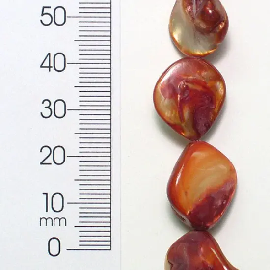 6 Packs of Chunky Tinted Shell Beads - Beige - 2 x 8" Strand {1}