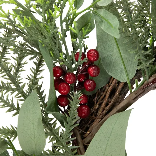 Northlight Mixed Foliage and Red Berries Artificial Christmas Wreath, 24-Inch, Unlit Green {5}