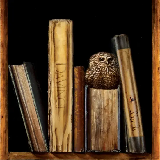 Sunsout The Reference Section 550 pc Jigsaw Puzzle 62835 {1}