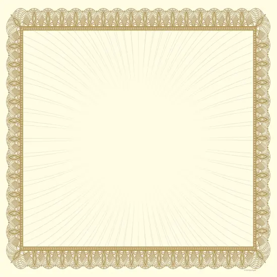 Great Papers! Value Certificate, Metallic Gold Border, 8.5" x 11", Printer Compatible, 100 Count {1}