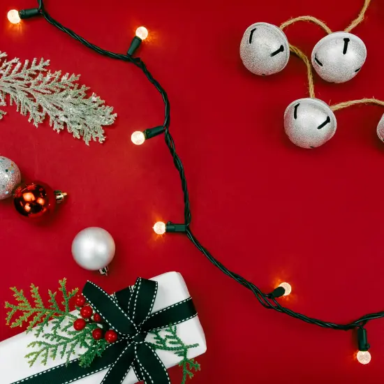 Northlight LED G12 Berry Christmas Lights - Warm White - 16' Black Wire - 50ct {4}