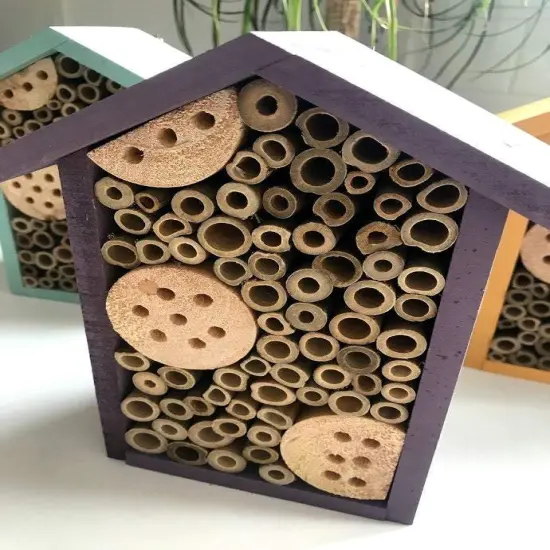 Sunny 1 Room Pollinator House Purple {1}