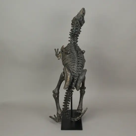 Resin Tyrannosaurus Rex Fossil Bones Home Decor Dinosaur Skeleton Sculpture Art {5}