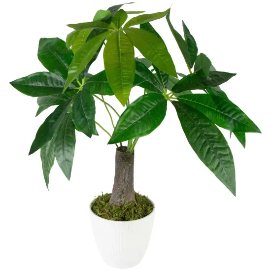 Northlight Artificial Money Tree Plant in Textured Lined Pot - 18.5" Green {4}