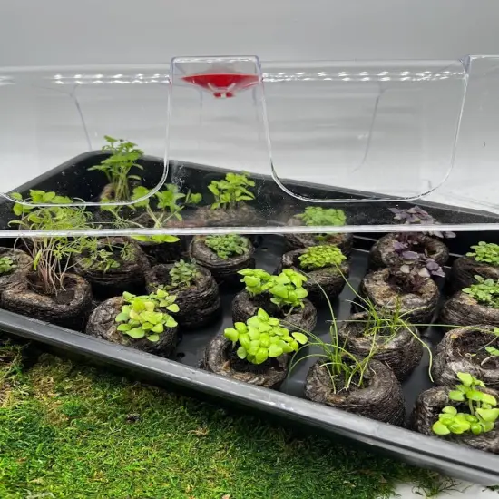 Mini Greenhouse - Grow 28 plants LARGE {6}