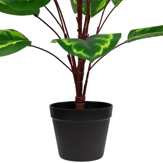 Northlight Two-Tone Calathea Artificial Potted Plant - 30" Green {5}