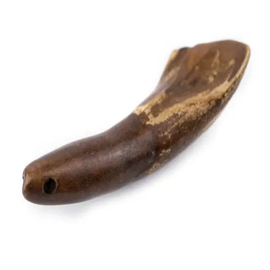 TheBeadChest Brown Water Buffalo Tooth Pendants Set of 4 Nepal Bone Large Hole {3}