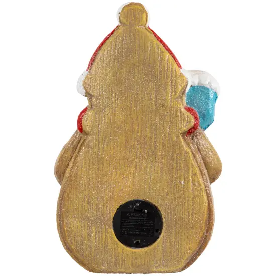 Northlight LED Lighted Gingerbread Snowman with Cookie Christmas Figure - 15.75" Brown {7}