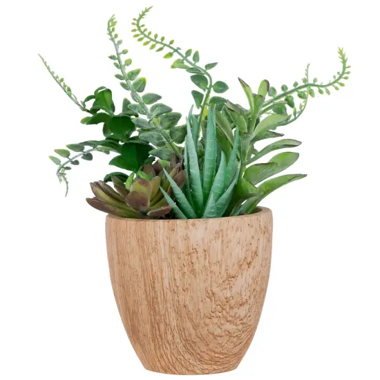 Northlight Potted Artificial Mixed Succulents and Fern Arrangement - 12" Brown {1}