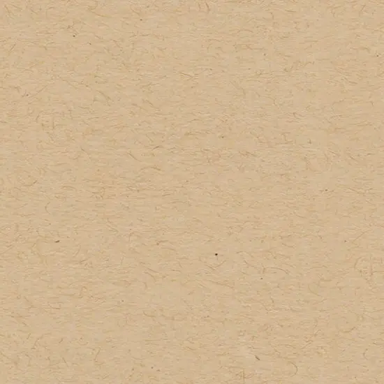 My Colors Classic 80lb Cover Weight Cardstock 8.5"X11"-Kraft {1}