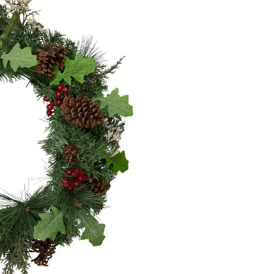Northlight Decorated Natural Pine and Berry Artificial Christmas Wreath, 24-Inch, Unlit Green {5}