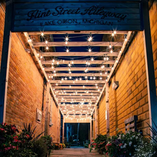 Northlight Edison Glass Indoor Outdoor Patio Light Set - Clear - 9' Green Wire - 10ct {1}