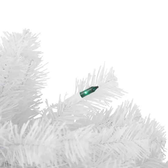 Northlight Pre-Lit Geneva Spruce Artificial Christmas Wreath - 24" - White - Green Lights {3}