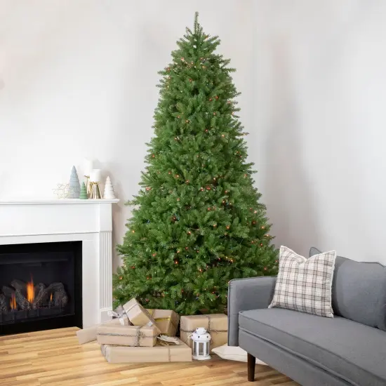Northlight 9' Pre-Lit Rockwood Pine Artificial Christmas Tree, Multi Lights Green {3}