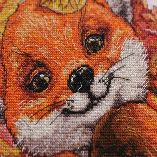 Cross-stitch kit First autumn {3}