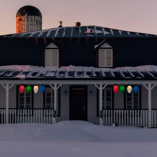 Northlight Lighted Blow Mold C7 Bulbs Christmas Decorations - 20" - Set of 4 Multi {3}