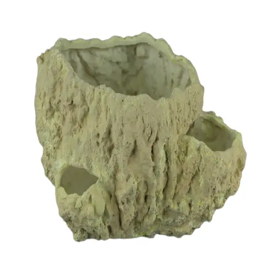 Off-White Fossilized Coral Decorative Coastal Decor Vase {1}