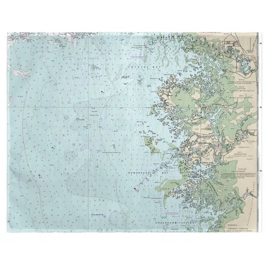 Betsy Drake Crystal River, FL Nautical Map Place Mat Set of 4 {1}