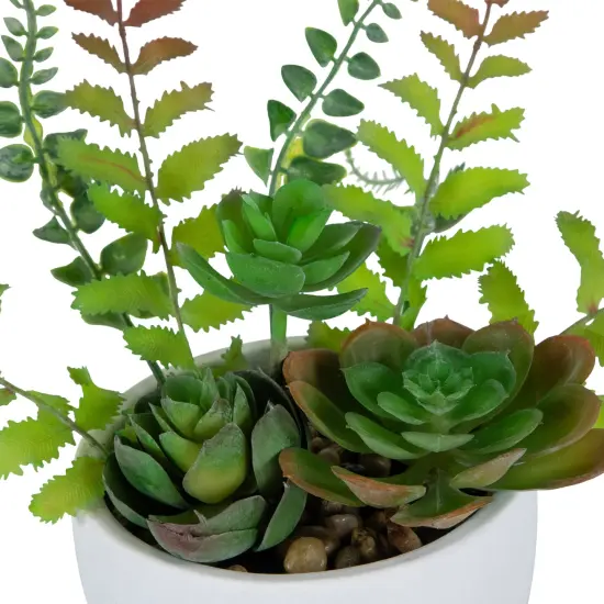 Northlight Potted Artificial Mixed Succulent Fern Plant - 11.5" Green {7}