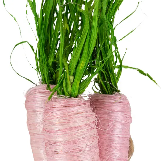 Northlight Straw Carrot Easter Decorations - 9"- Pink and Green - Set of 3 {6}