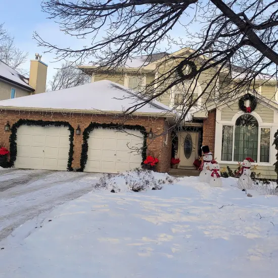 Northlight Colorado Spruce Artificial Christmas Garland - 9' x 14" - Unlit Green {6}