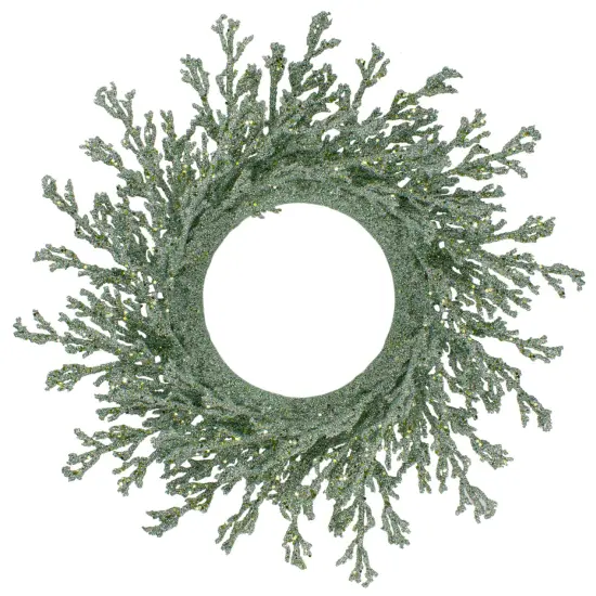 Northlight 20" Green Glittered Artificial Coral ChristmasWreath {1}