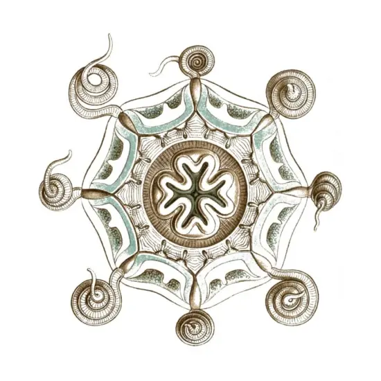 Refresh Bath Border II Poster Print by Danhui Nai - Item # VARPDX12130 {1}