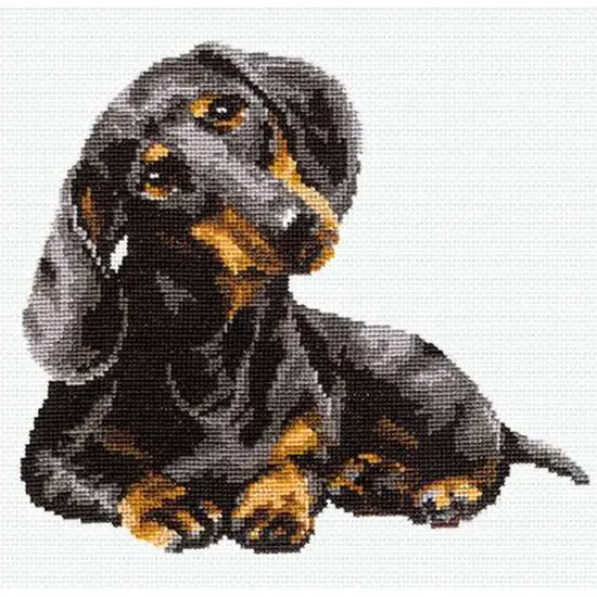 RIOLIS Counted Cross Stitch Kit 9.75"X9.75"-Dachshund {3}
