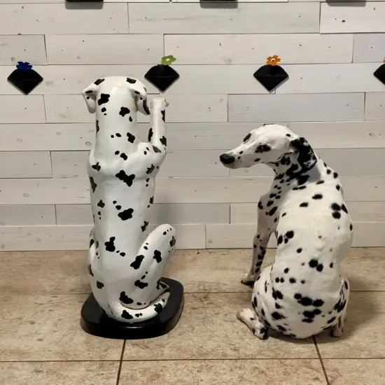 Dalmatian Butler Life Size Statue {5}